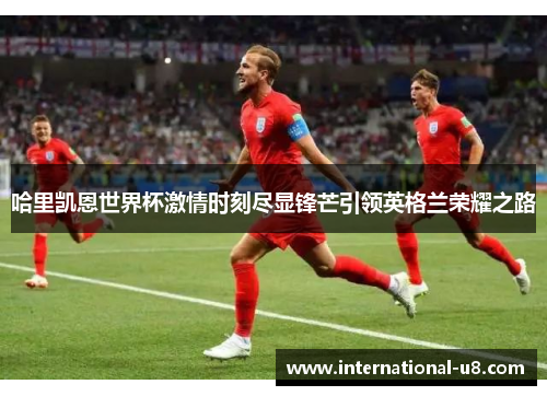 哈里凯恩世界杯激情时刻尽显锋芒引领英格兰荣耀之路