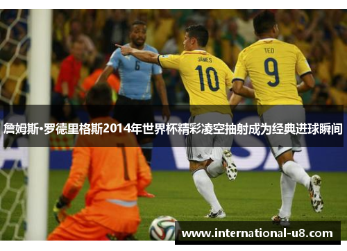 詹姆斯·罗德里格斯2014年世界杯精彩凌空抽射成为经典进球瞬间