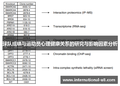 球队成绩与运动员心理健康关系的研究与影响因素分析
