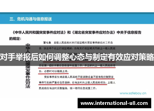 对手举报后如何调整心态与制定有效应对策略