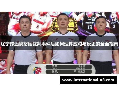 辽宁球迷愤怒砸裁判事件后如何理性应对与反思的全面指南