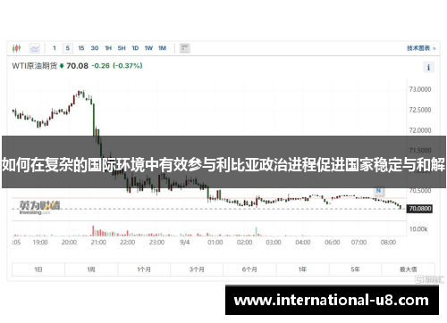 如何在复杂的国际环境中有效参与利比亚政治进程促进国家稳定与和解